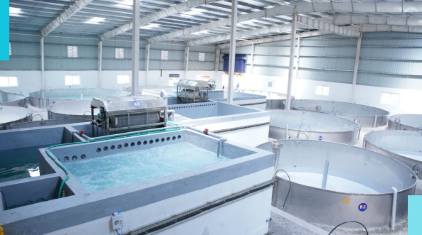 Advantages of RAS Aquaculture